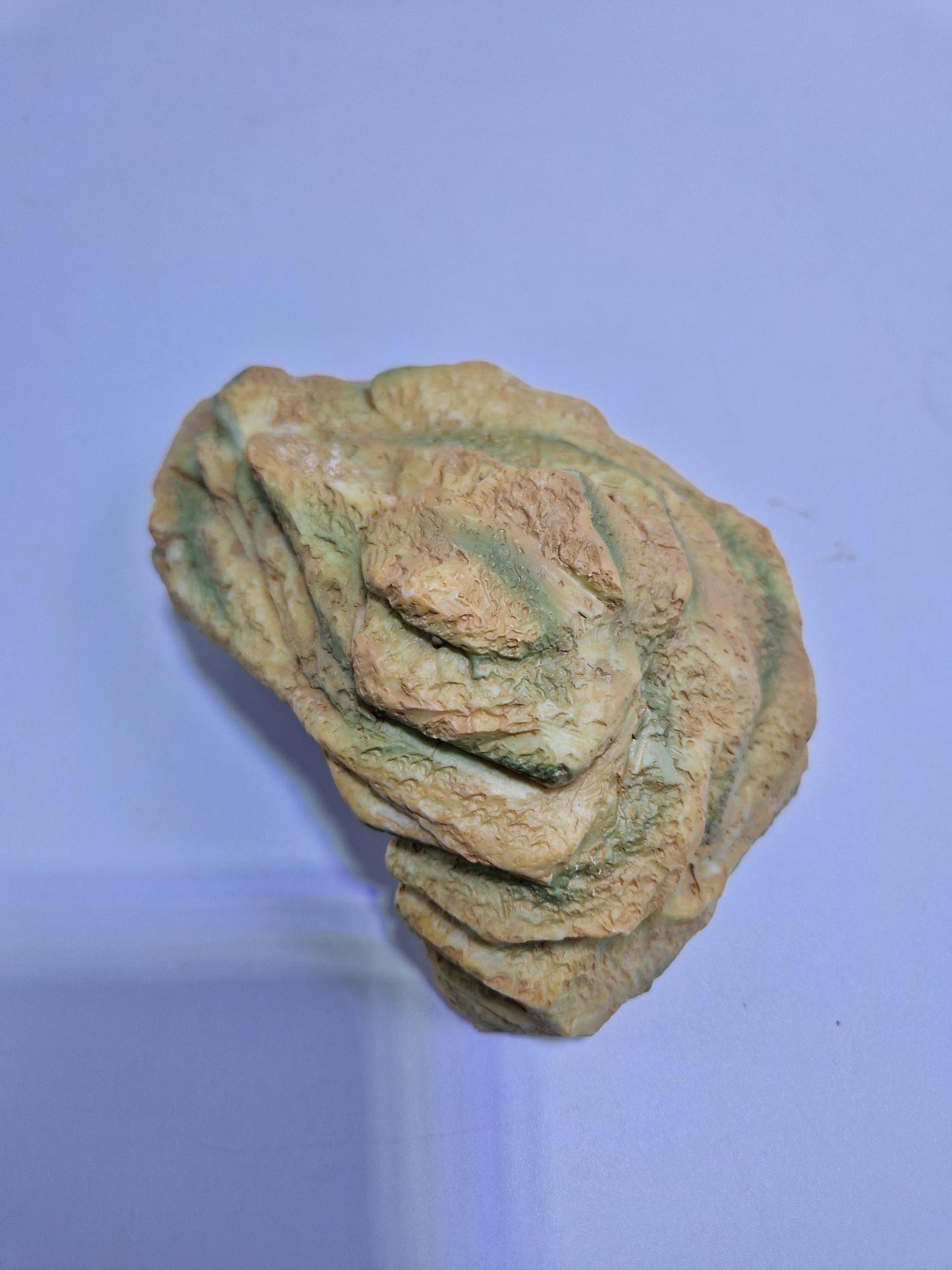 Cachette pour reptiles n°1