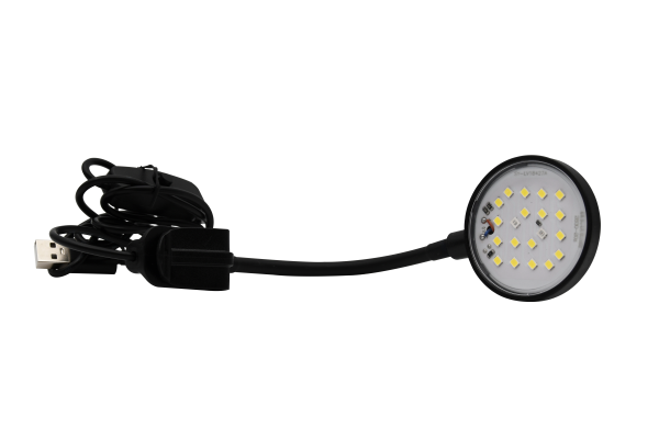 USB mini LED Lamp - Lucky Reptile