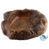 Gamelle L Ceramic Nature