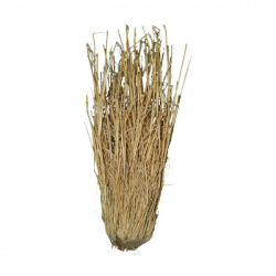 Grass bush LUCKY REPTILE