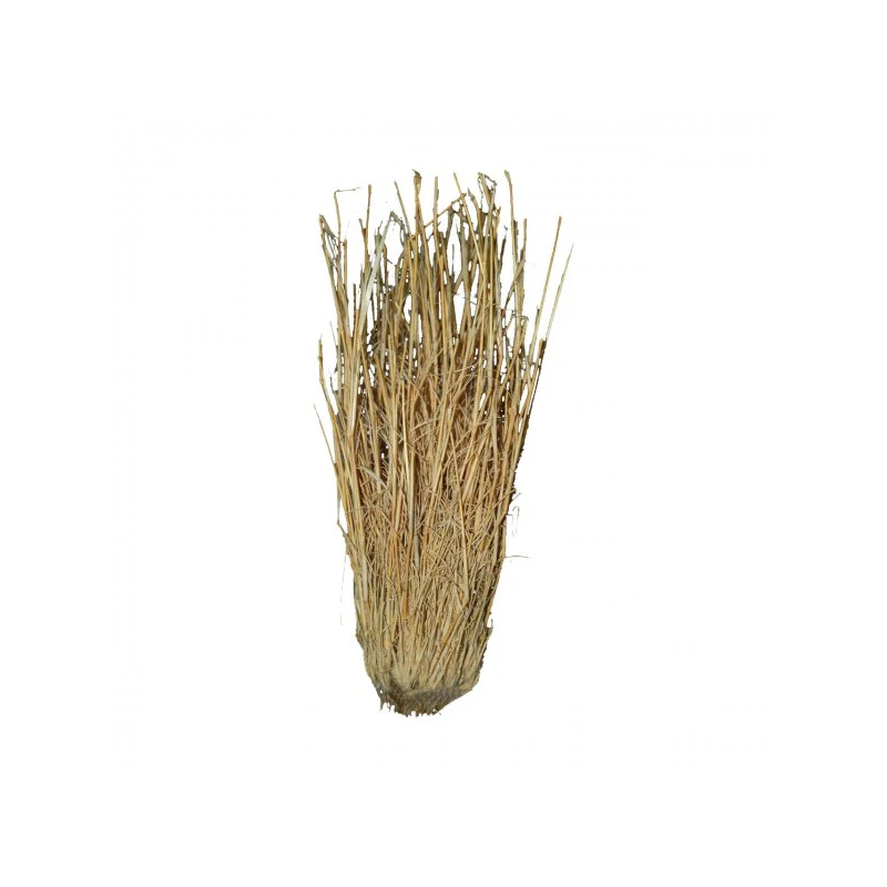 Grass bush LUCKY REPTILE