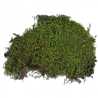 Vivarium moss LUCKY REPTILE