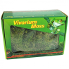Vivarium moss LUCKY REPTILE