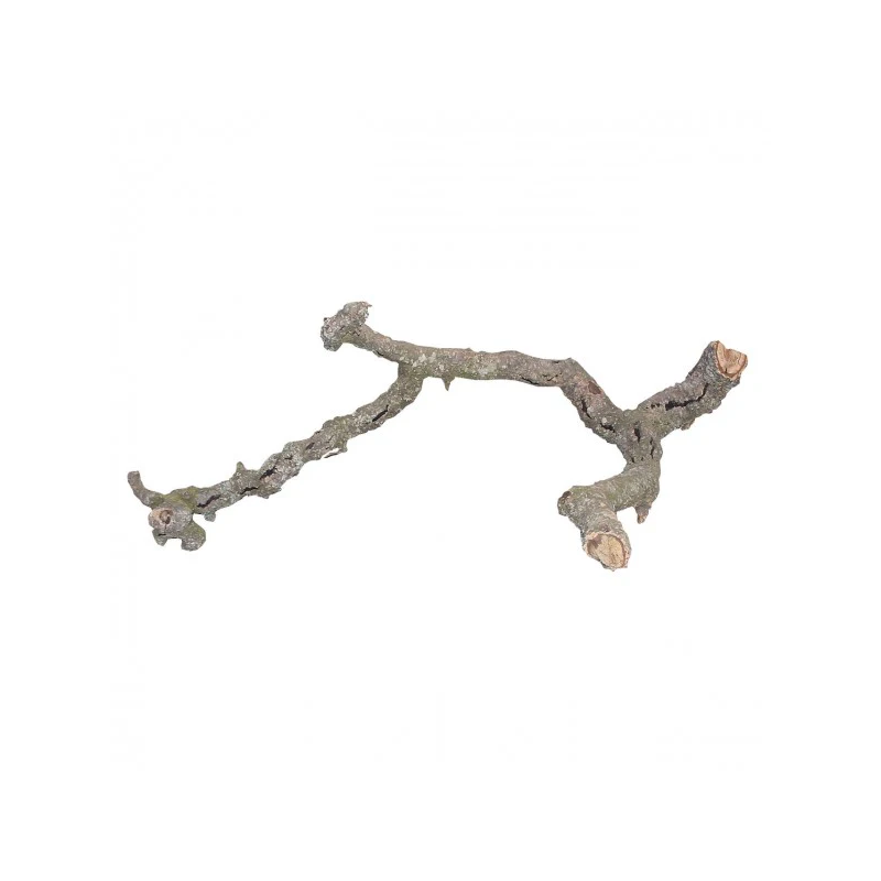 Branche de liège 40-60cm