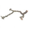 Branche de liège 40-60cm