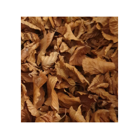 Feuilles de hêtre 5L