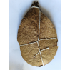 Feuilles de catappa x20 15-18cm