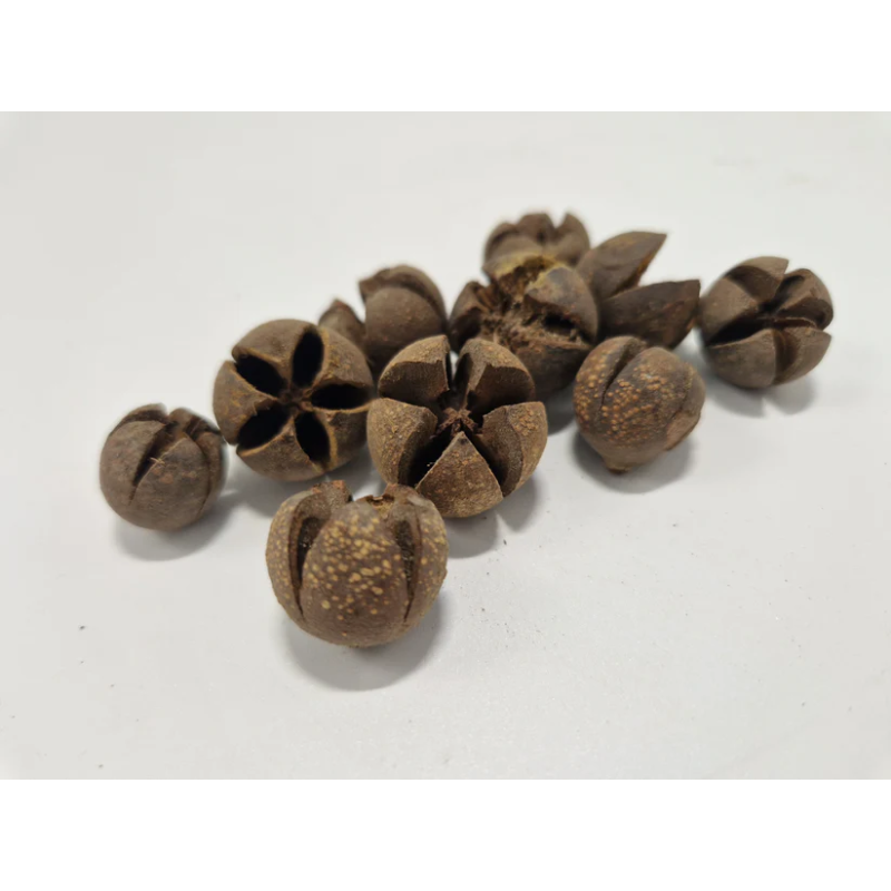Gousses de wallachi 50gr