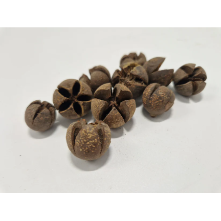 Gousses de wallachi 50gr