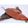 Feuilles de mangrove 10gr