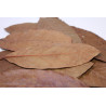 Feuilles de goyave 10gr