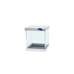 Cuve 31L Ultra clear avec bords avant arrondis SCALARE