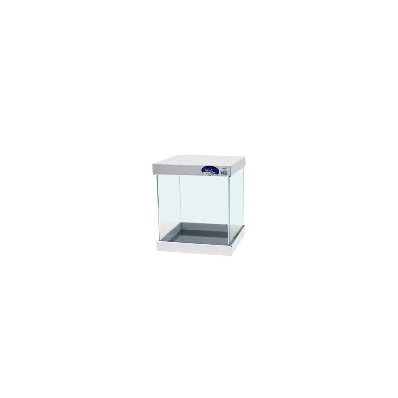 Cuve 31L Ultra clear avec bords avant arrondis SCALARE