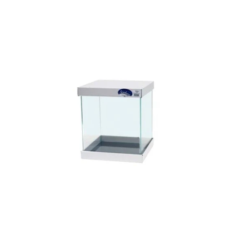 Cuve 31L Ultra clear avec bords avant arrondis SCALARE