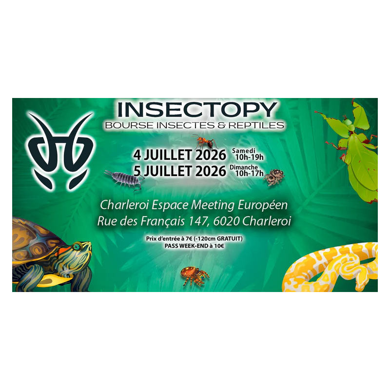INSECTOPY 4 et 5 Juillet