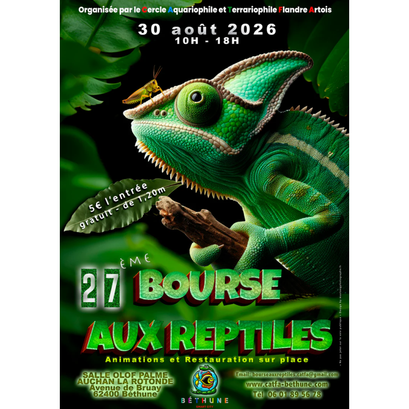 BETHUNE 31 Août