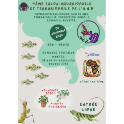 BOLBEC 8 Novembre