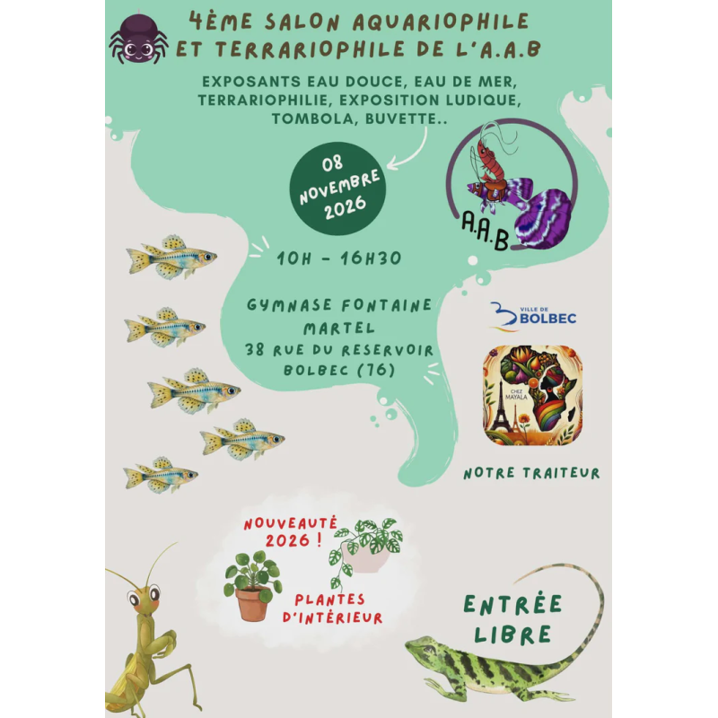 BOLBEC 8 Novembre
