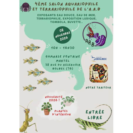 BOLBEC 8 Novembre