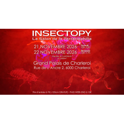 INSECTOPY 21 et 22 Novembre