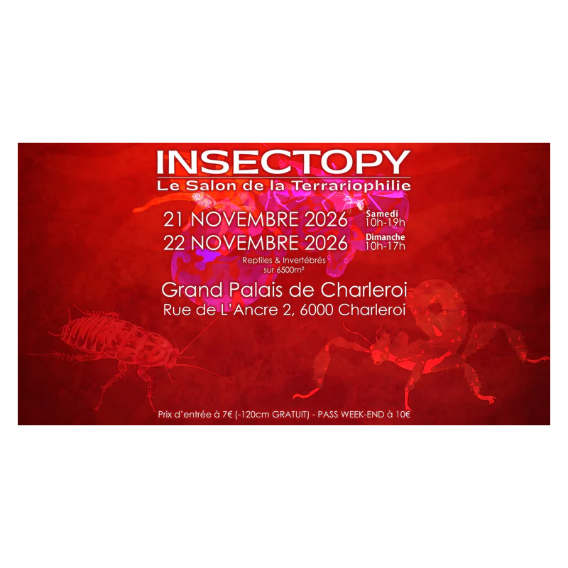 INSECTOPY 21 et 22 Novembre