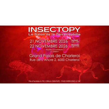 INSECTOPY 21 et 22 Novembre