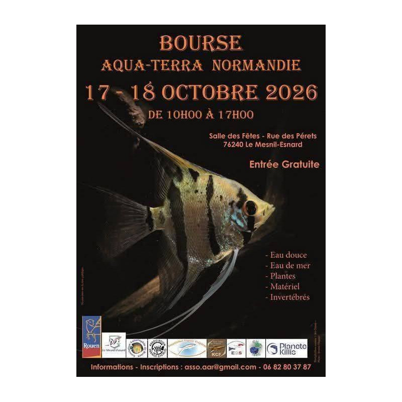 ROUEN 17 et 18 Octobre