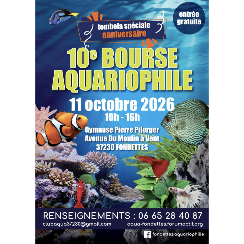 FONDETTES 11 Octobre
