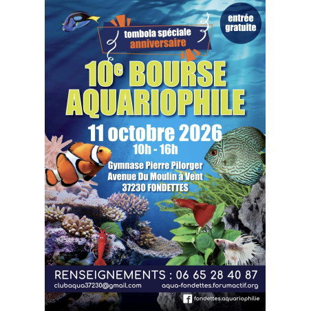 FONDETTES 11 Octobre