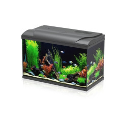 Aquarium équipé Scalare One
