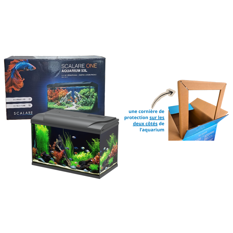 Aquarium équipé Scalare One