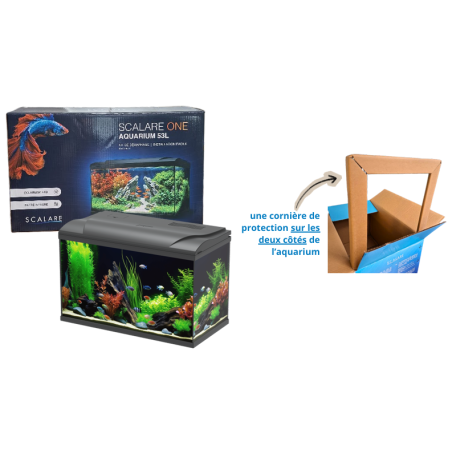 Aquarium équipé Scalare One