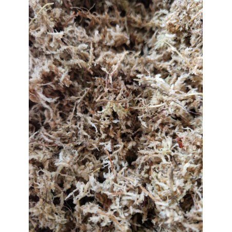 Sphaigne sèche compressé 100gr