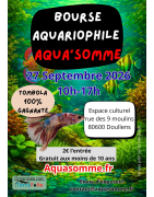 Retrait en bourse