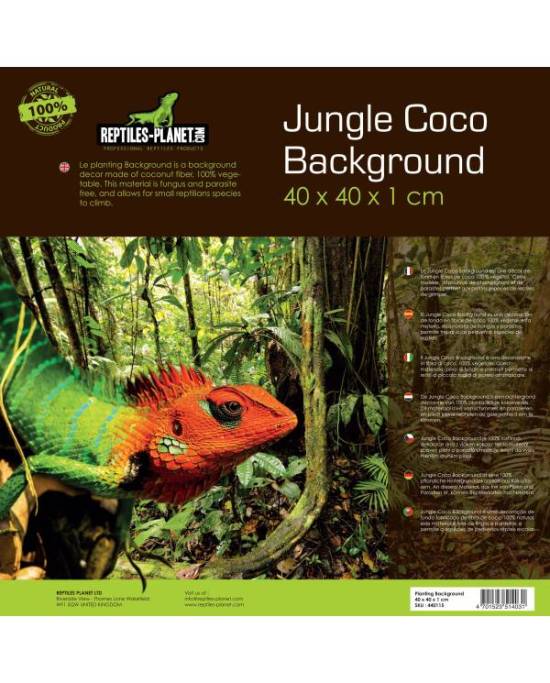 Jungle Coco background