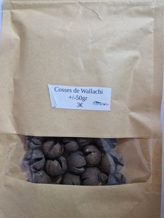 Cosses de Wallachi +/- 50gr