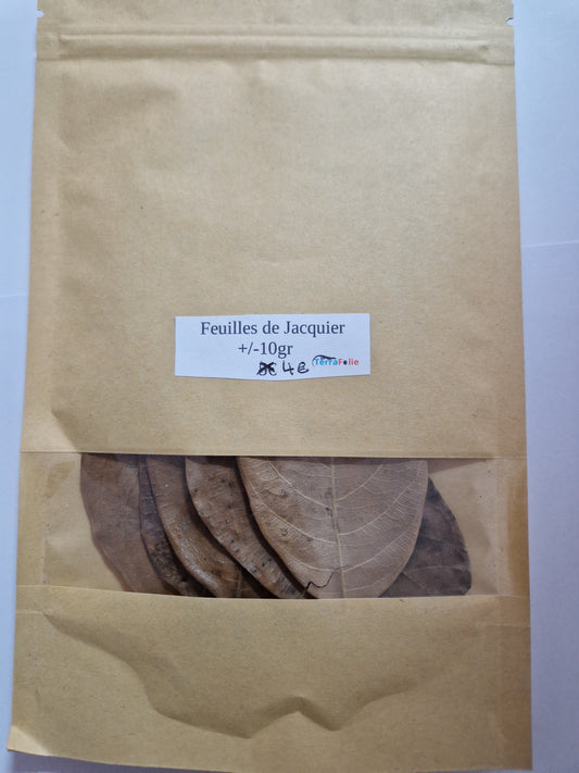 Feuilles de Jacquier +/- 10gr