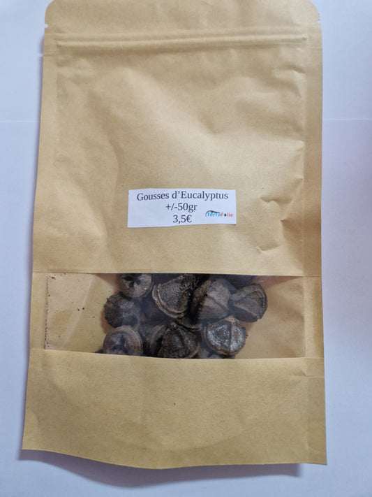 Gousses d'Eucalyptus +/- 50gr