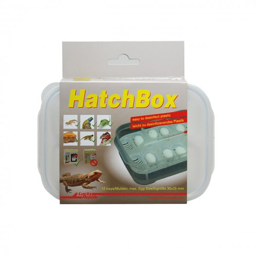 hatch box - Boîte d'incubation