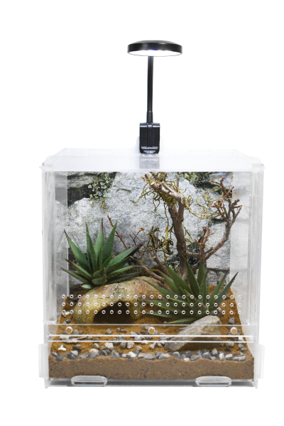 USB mini LED Lamp - Lucky Reptile