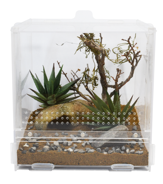 Terrarium en acrylique - Life Tarrium