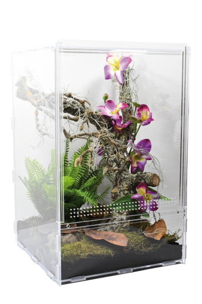 Terrarium en acrylique - Life Tarrium