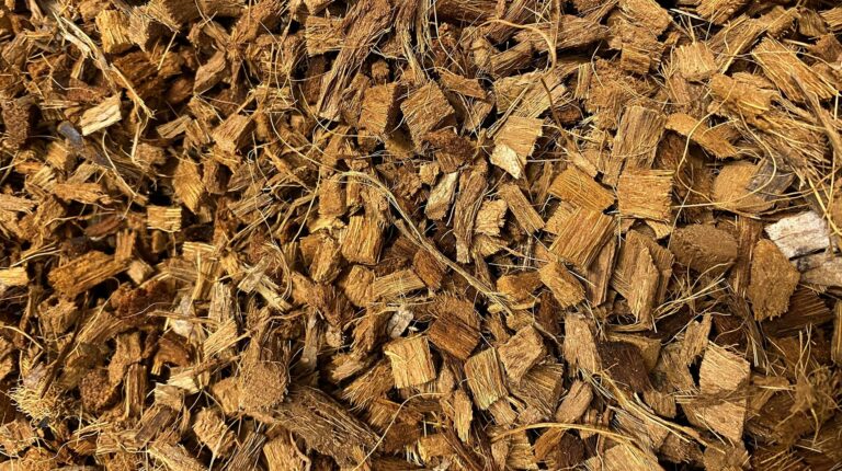 Eclats de coco ReptiBlock 550g