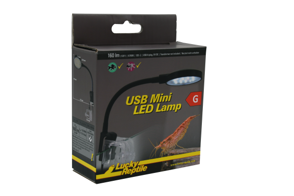 USB mini LED Lamp - Lucky Reptile