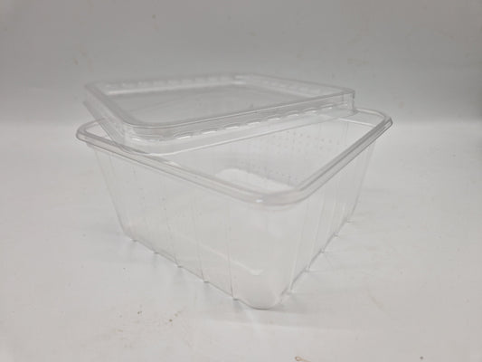 Boîte à grillons vide