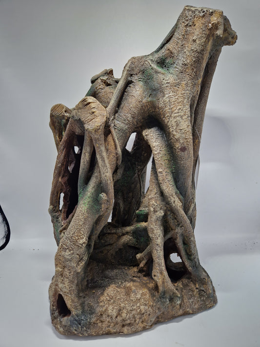 Banyan tree trunk REPTILE PLANET