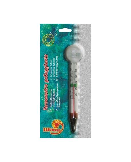 Thermomètre flottant + ventouse