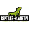 Reptiles Planet